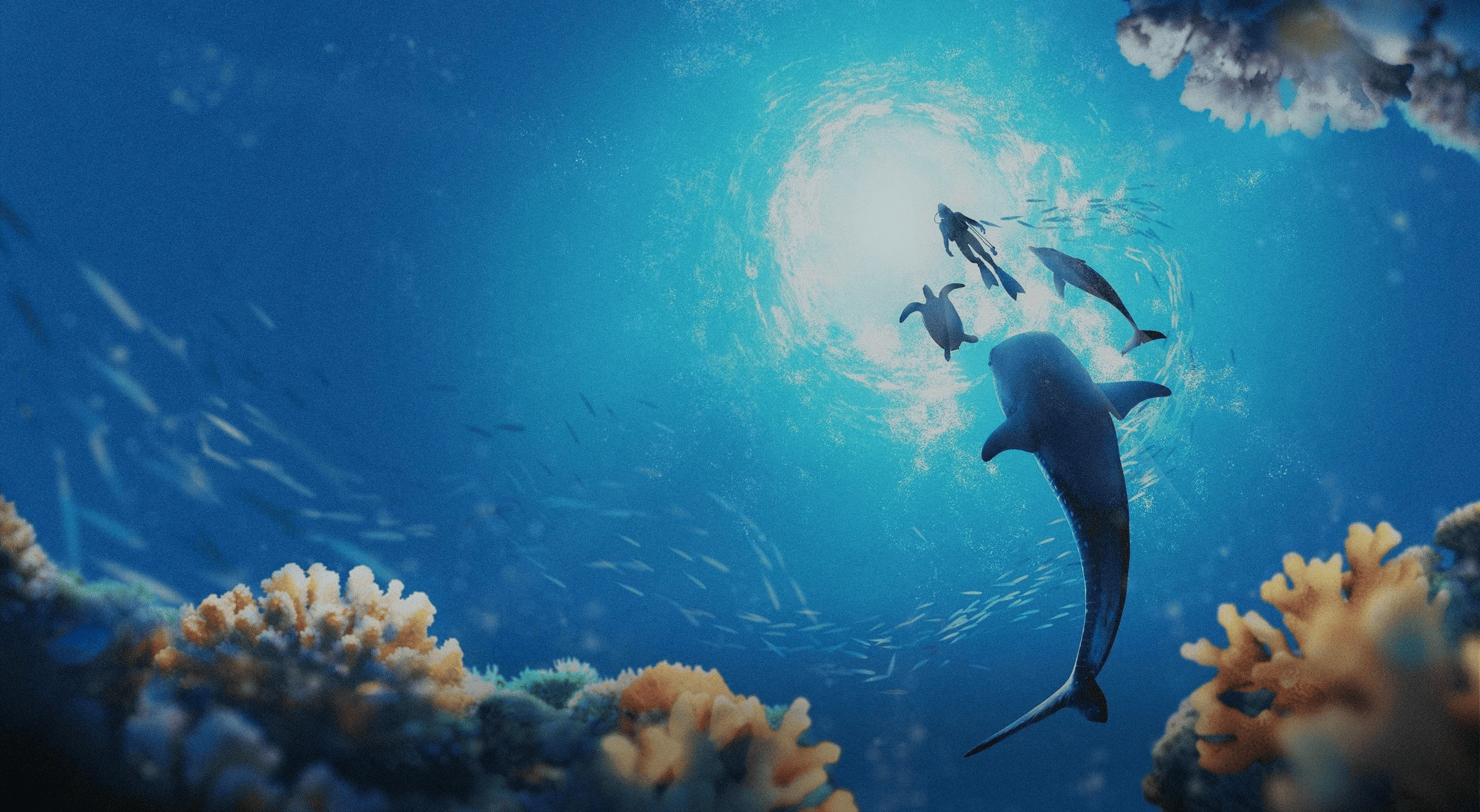 endless ocean